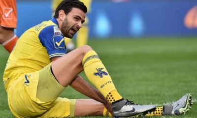 radovanovic disteso chievo gennaio 2016 ifa