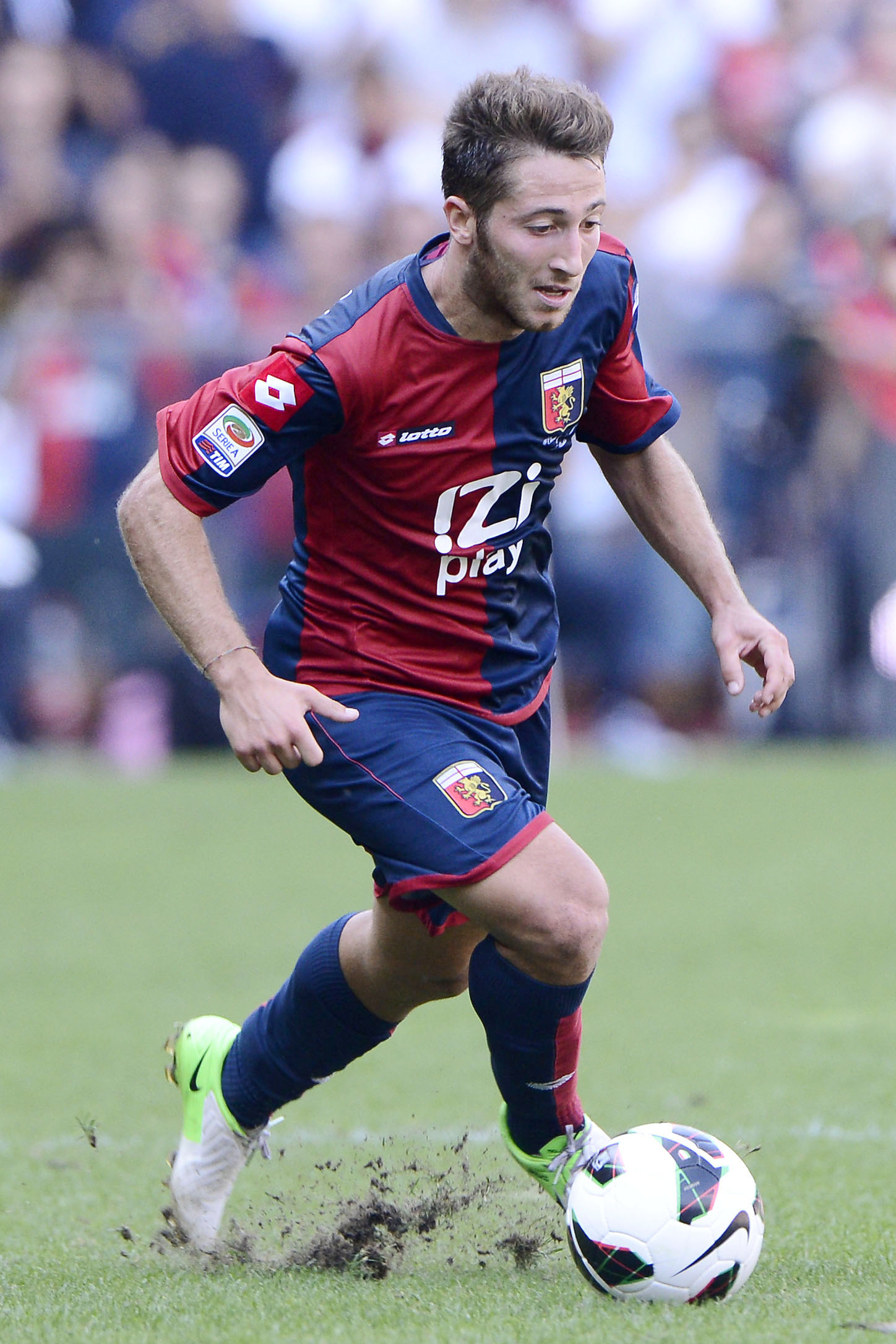 bertolacci ifa